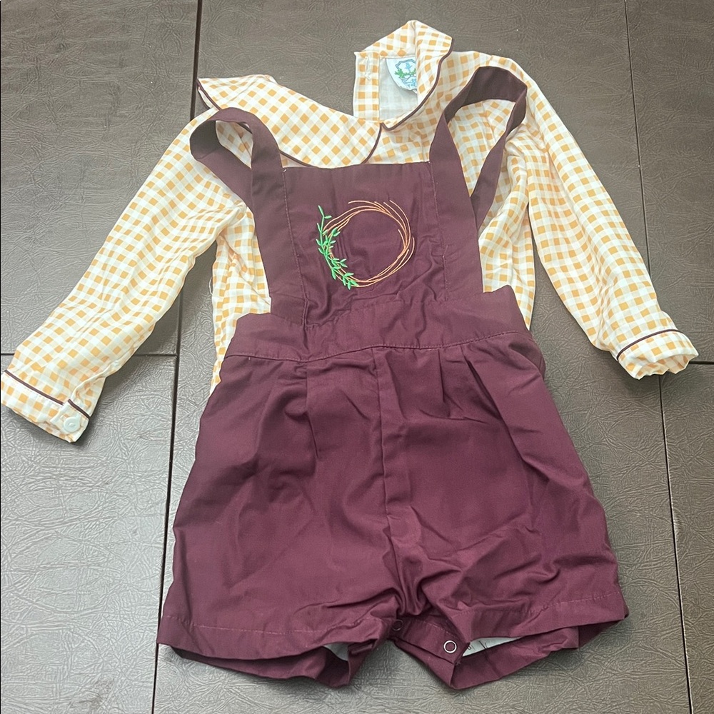 Charming Plum Kids Overalls with Embroidery